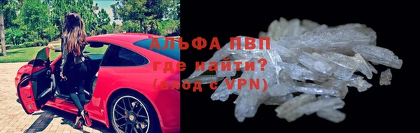 СК Арсеньев