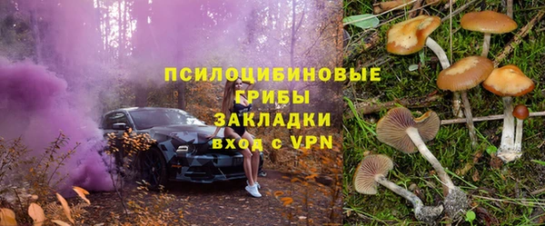СК Арсеньев