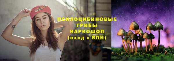СК Арсеньев