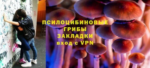 a pvp Аркадак