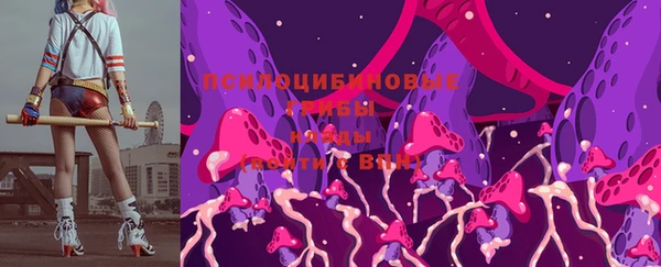 тгк Алексин