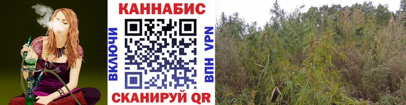 МАРИХУАНА гибрид Ельня